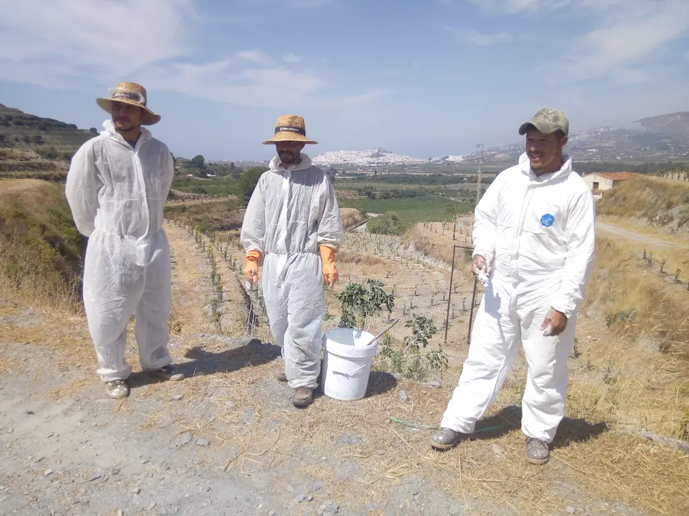 Grupo trabajadores hondureños en Motril